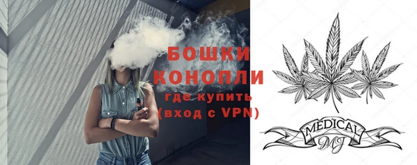 прущие грибы Белокуриха