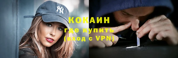 прущие грибы Белокуриха
