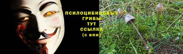 дурь Баксан