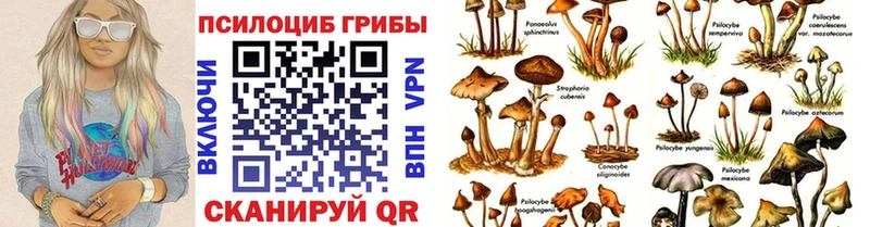 Галлюциногенные грибы Magic Shrooms  Семикаракорск 